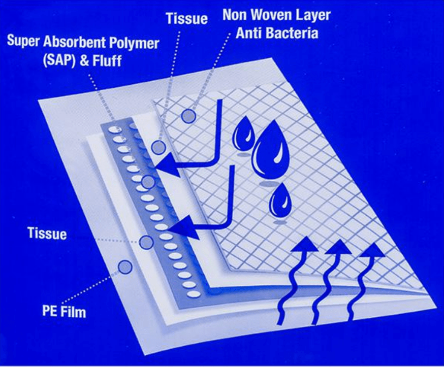 Alèses Absorbantes - Dignity Drytex – Image 3